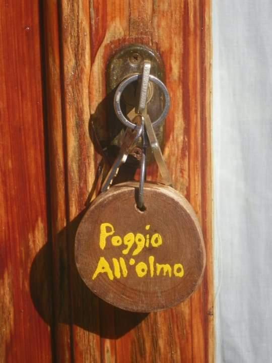 Agriturismo Poggio All'Olmo Villa Greve in Chianti Eksteriør bilde
