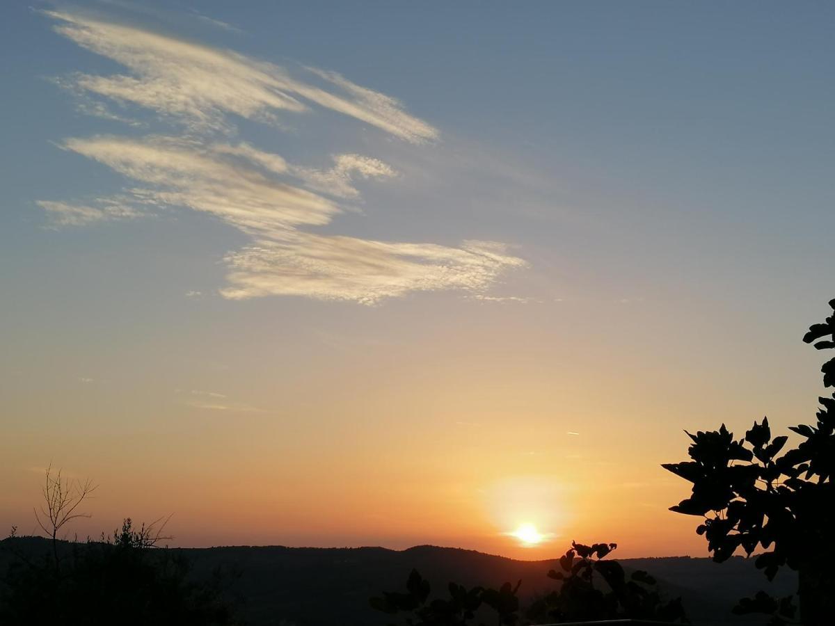 Agriturismo Poggio All'Olmo Villa Greve in Chianti Eksteriør bilde