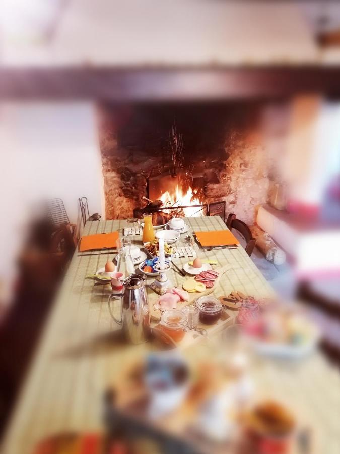Agriturismo Poggio All'Olmo Villa Greve in Chianti Eksteriør bilde