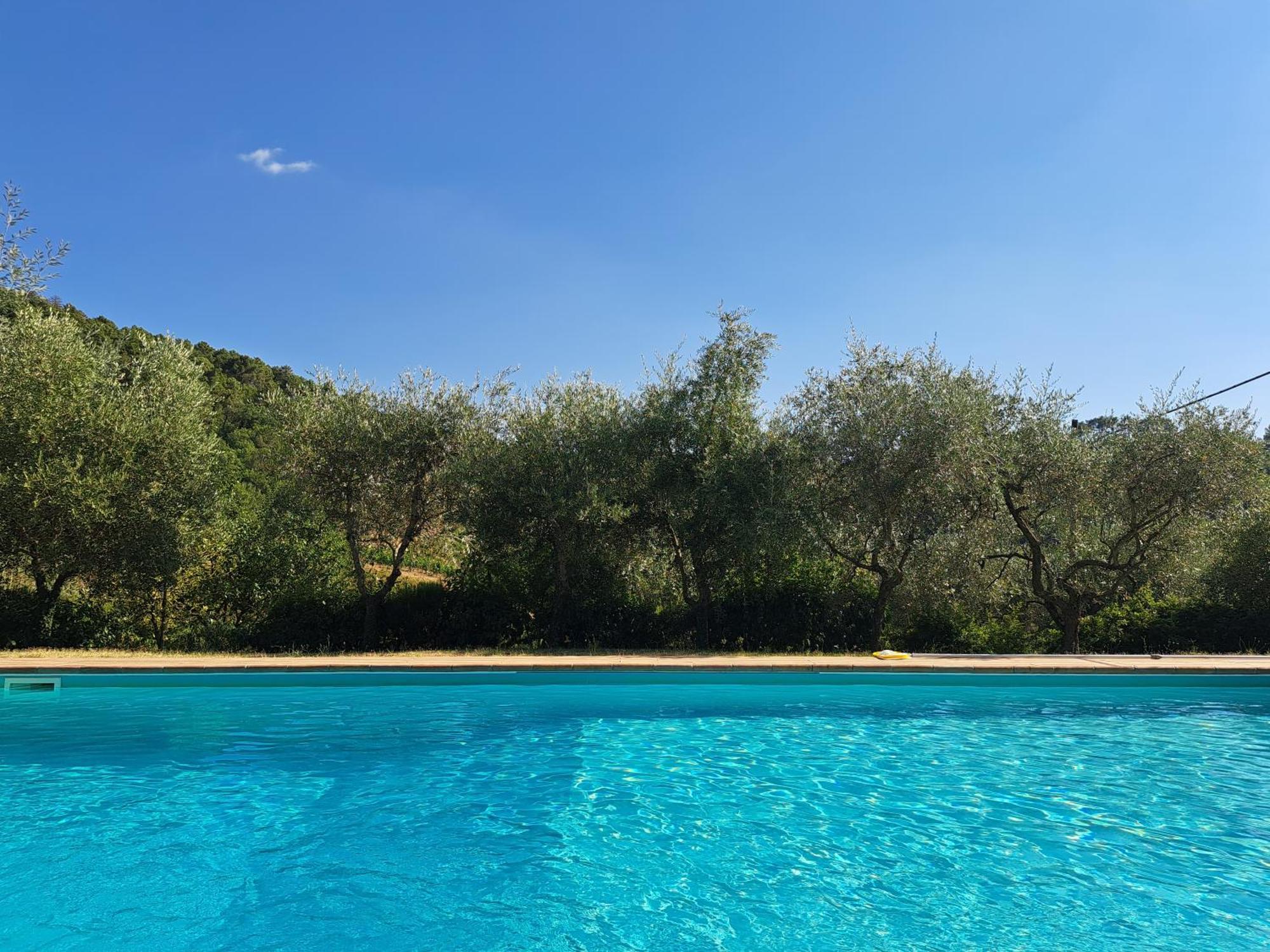 Agriturismo Poggio All'Olmo Villa Greve in Chianti Eksteriør bilde