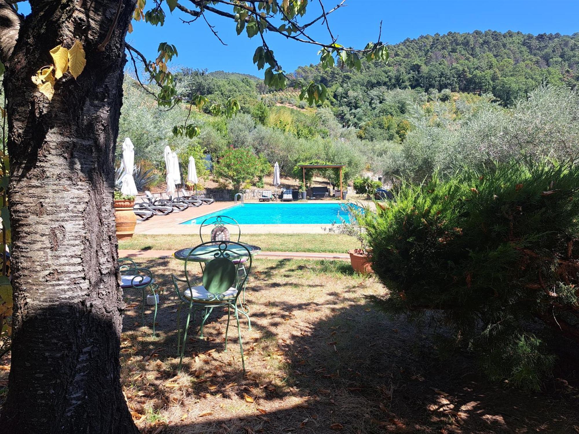Agriturismo Poggio All'Olmo Villa Greve in Chianti Eksteriør bilde