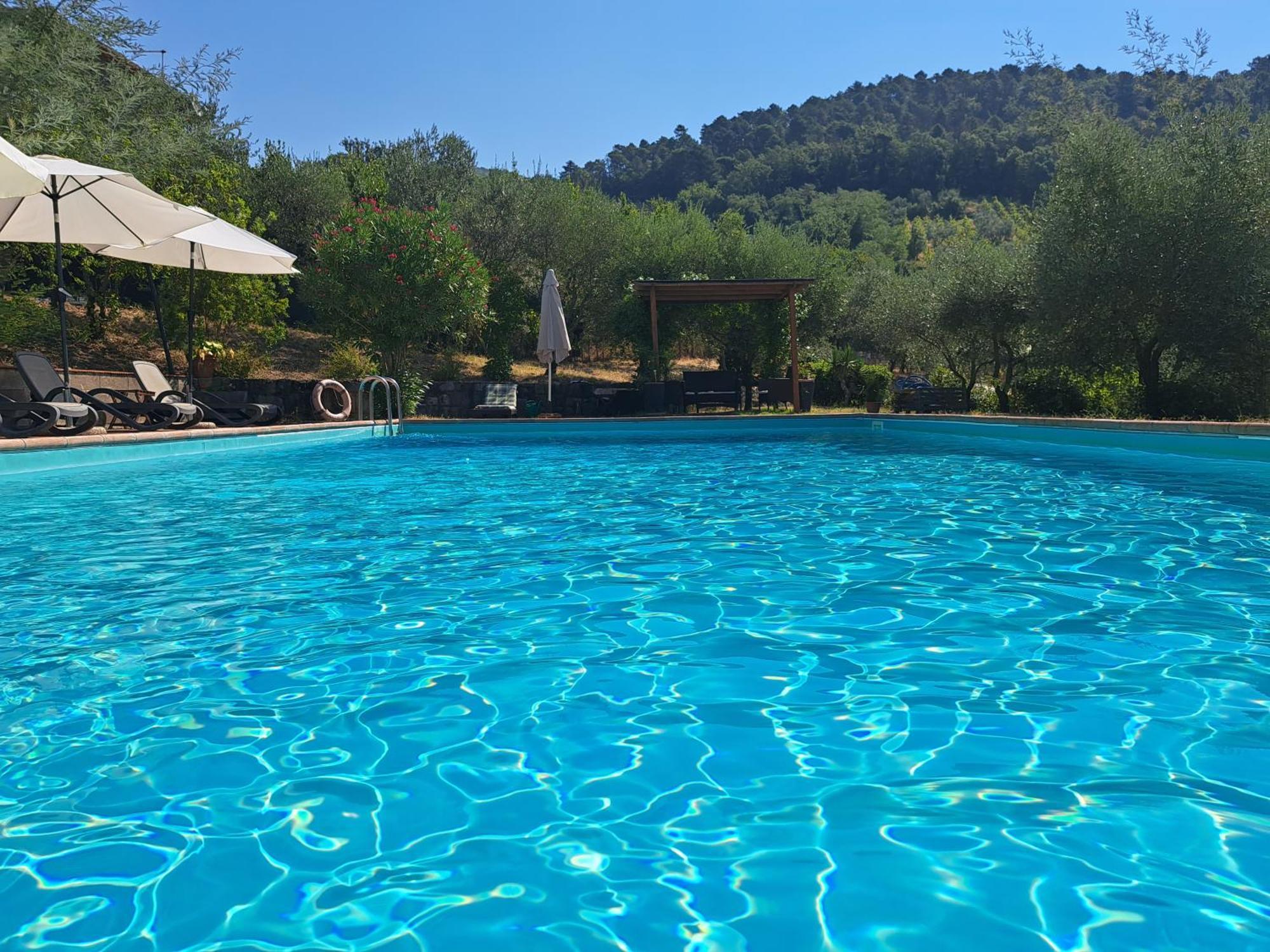 Agriturismo Poggio All'Olmo Villa Greve in Chianti Eksteriør bilde