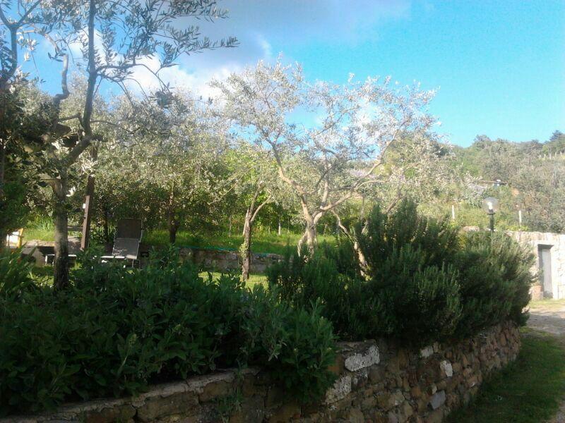 Agriturismo Poggio All'Olmo Villa Greve in Chianti Eksteriør bilde