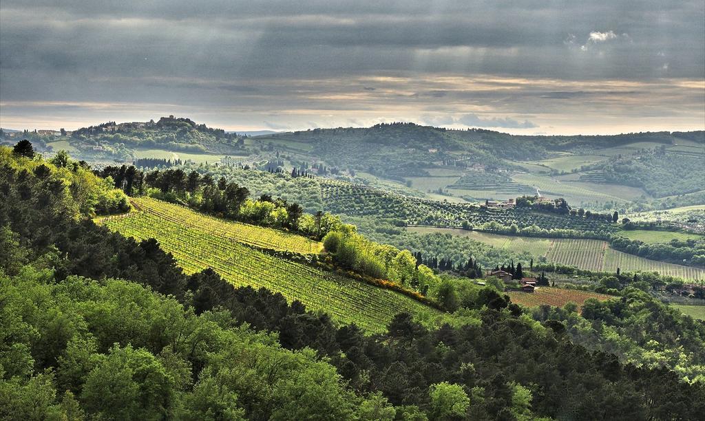 Agriturismo Poggio All'Olmo Villa Greve in Chianti Eksteriør bilde